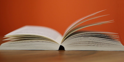 how to write a book report college level example